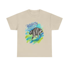 Perfectly Imperfect Raccoon Tee