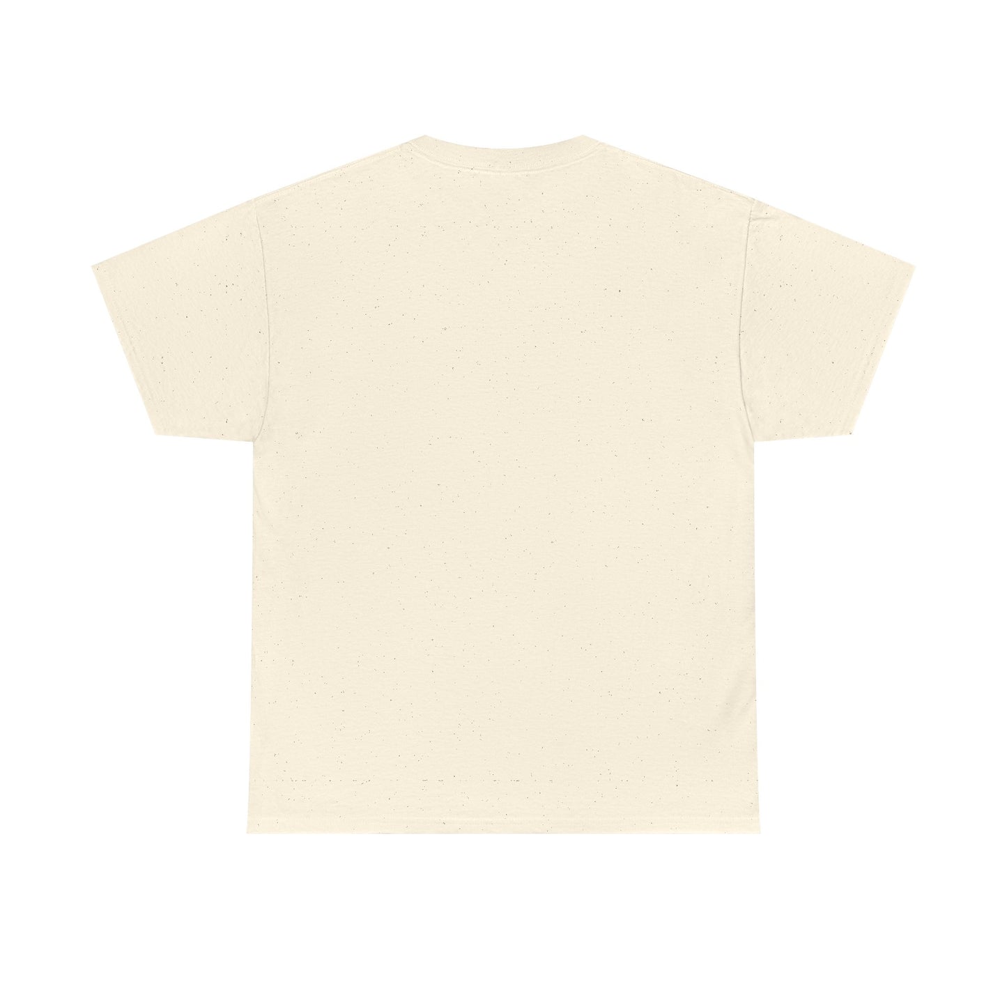 Spooky Season Pumpkin Tee — Cute Jack-o'-Lanterns & Bats Halloween T-Shirt