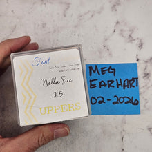 Nella Sue 2.5 upper case- Font Fixation Destash