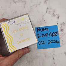 Lark's Tongue 4.5 lower case - Font Fixation Destash