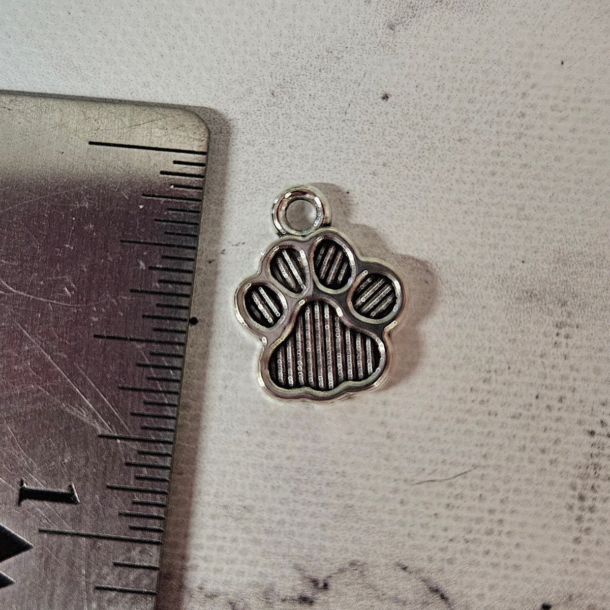Paw Print Charm - lot of 6