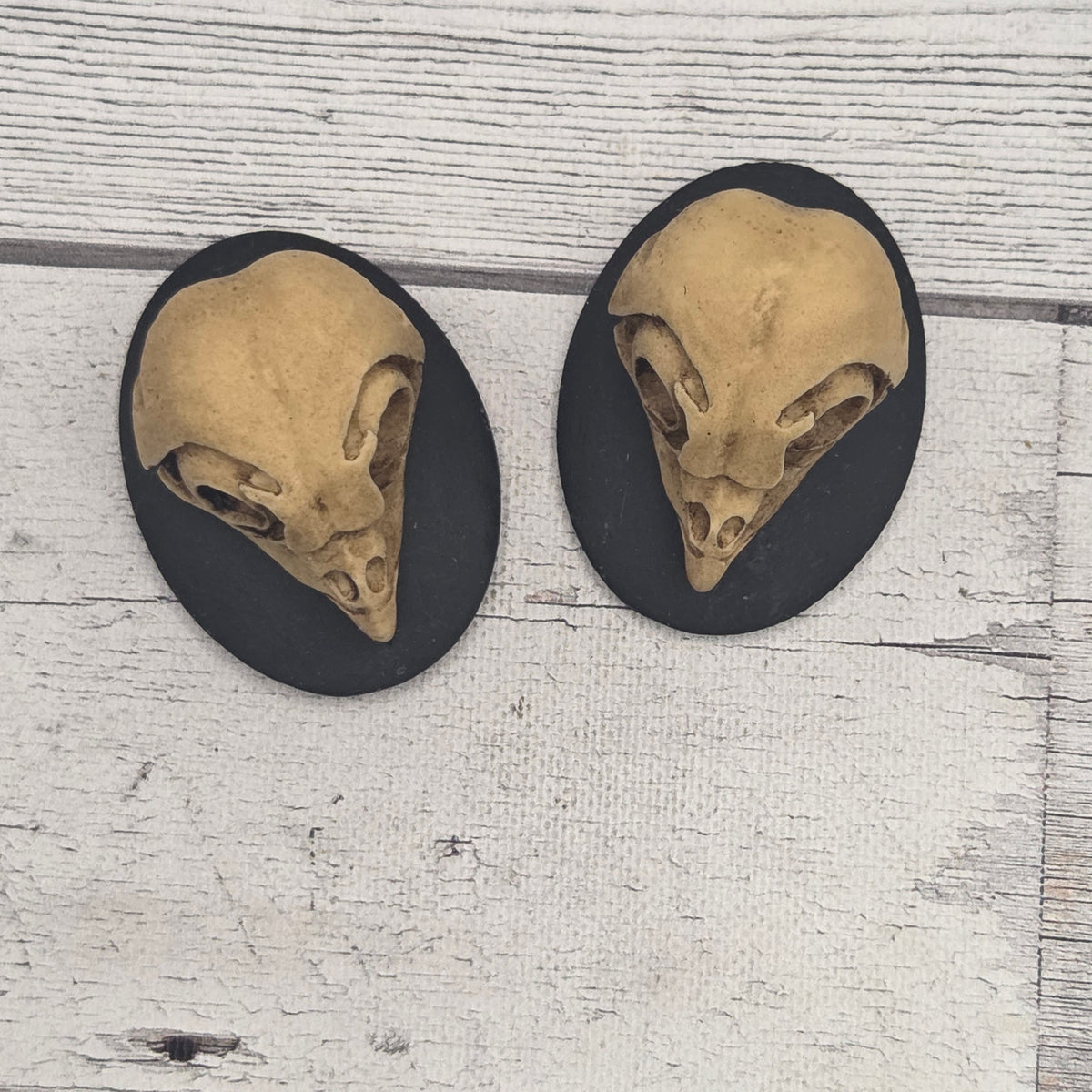 Resin cameo - Owl skull - lot of 2