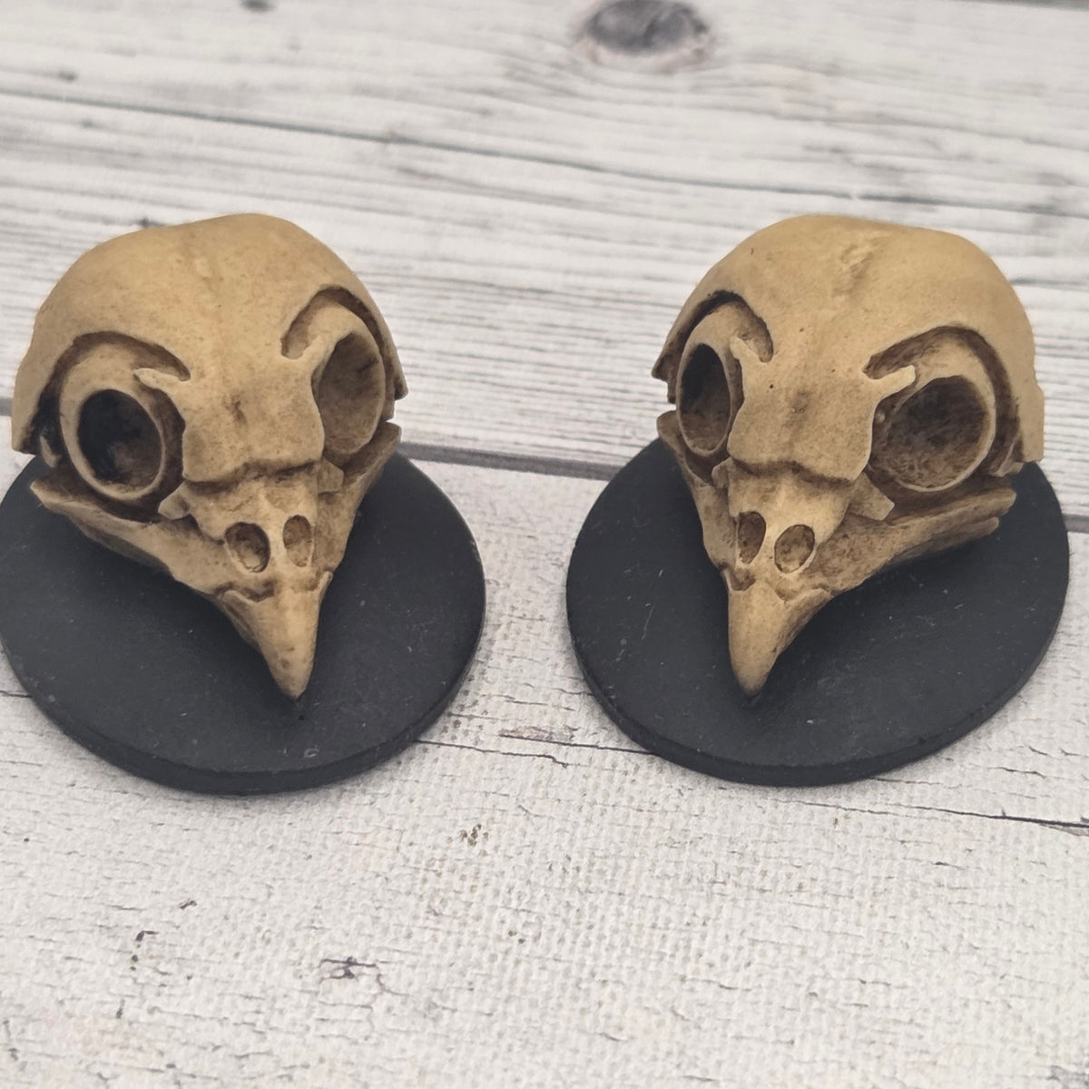 Resin cameo - Owl skull - lot of 2