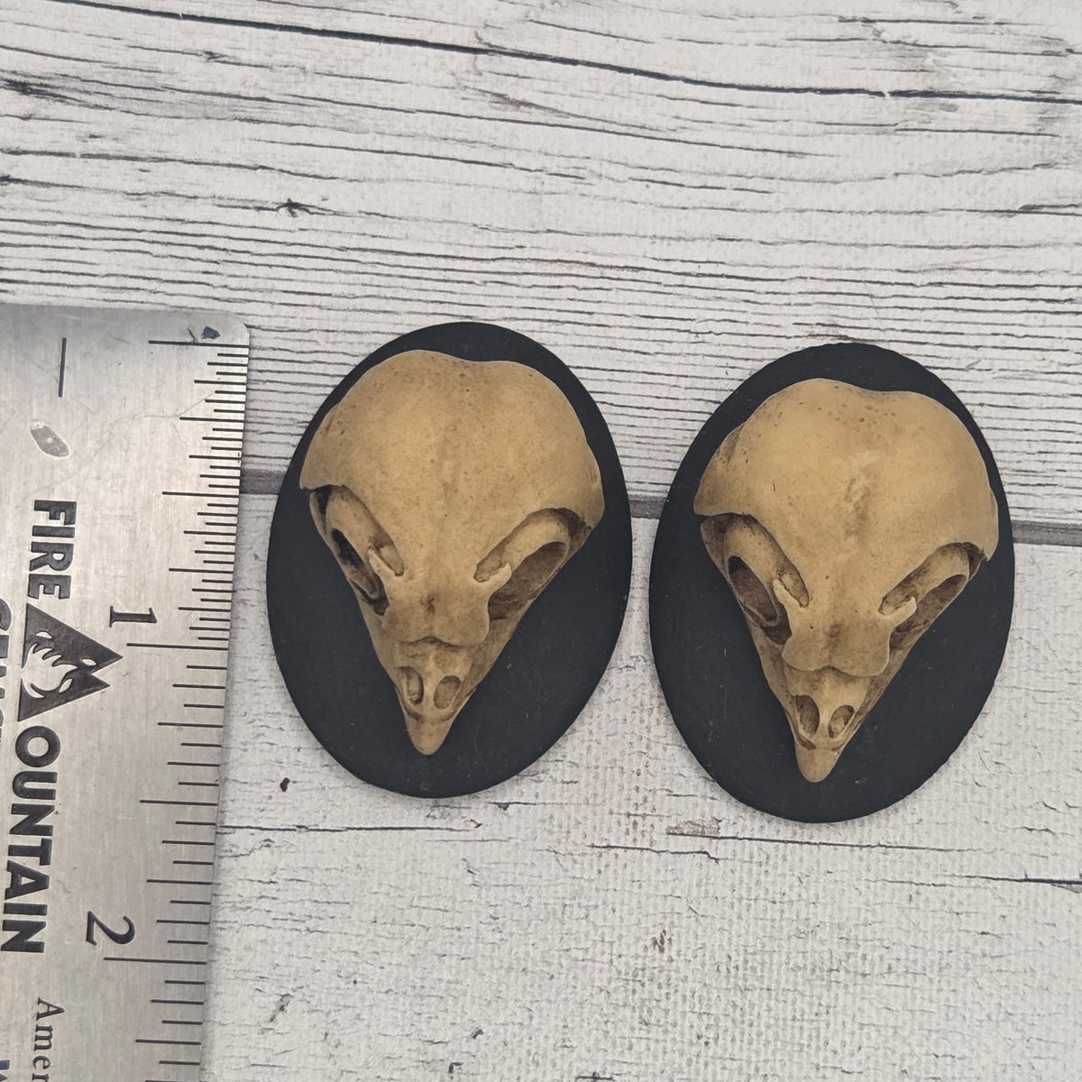 Resin cameo - Owl skull - lot of 2