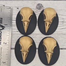 Resin cameo - Raven skulls - lot of 4