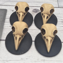 Resin cameo - Raven skulls - lot of 4