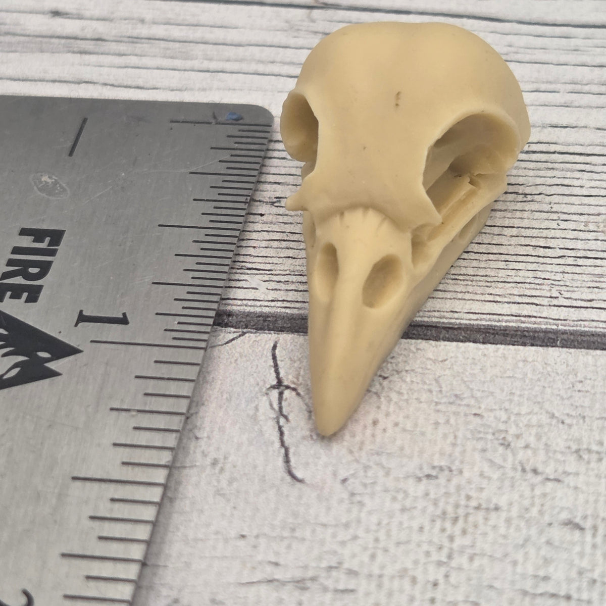Resin Raven skull - lot of 1