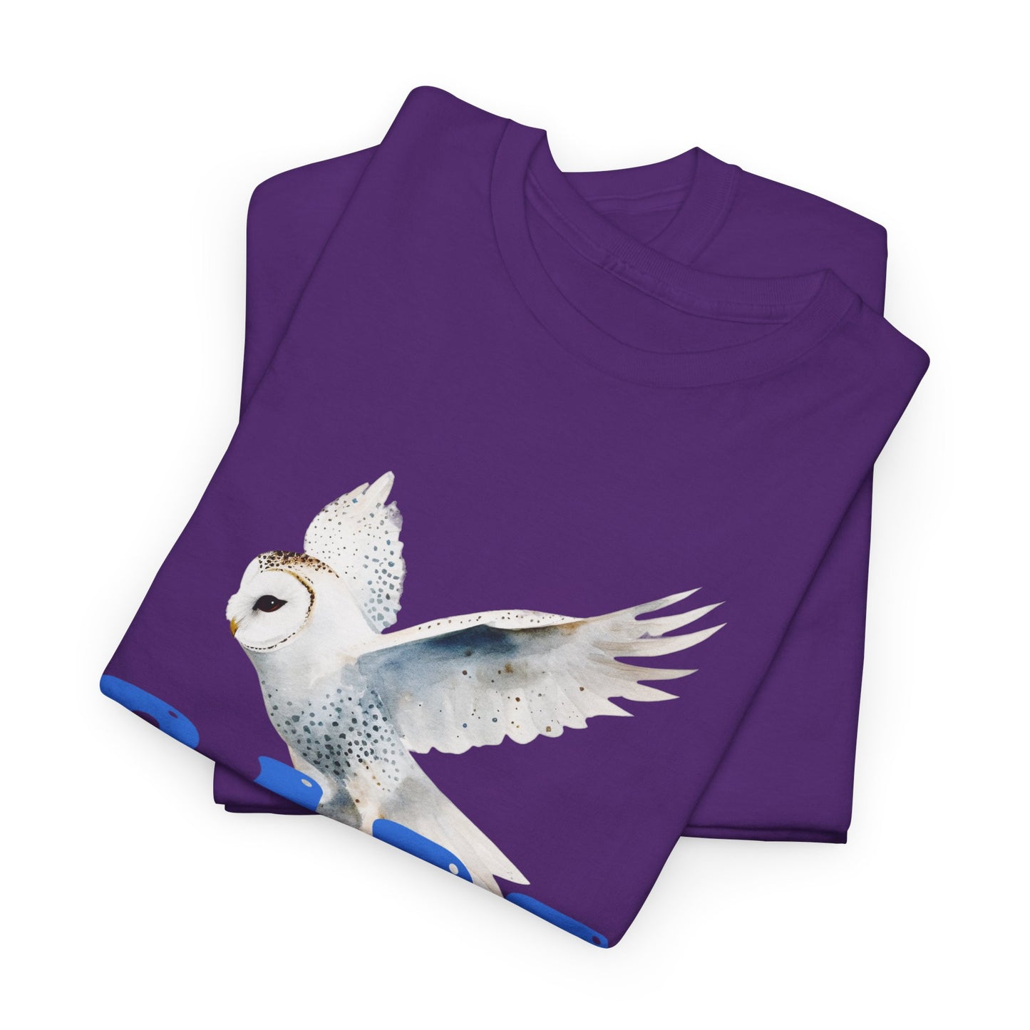 Babe With the Power Graphic Tee — Retro Blue Psychedelic Owl Design