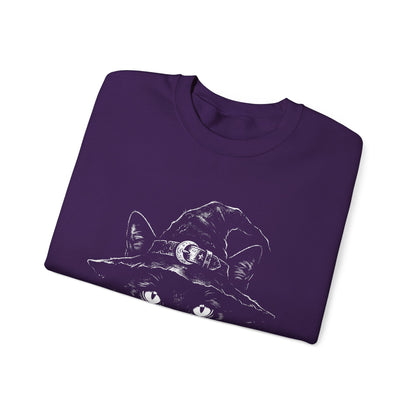 Witch Cat Crewneck Sweatshirt – Black Cat in Witch Hat Graphic