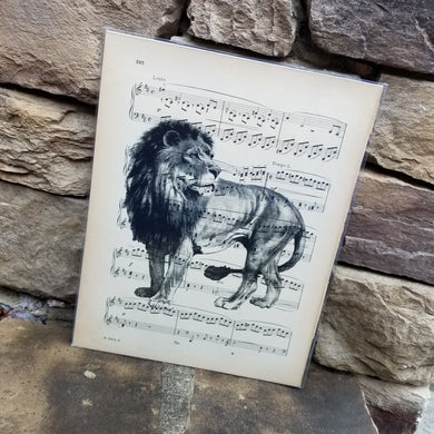 Music Art - Lion