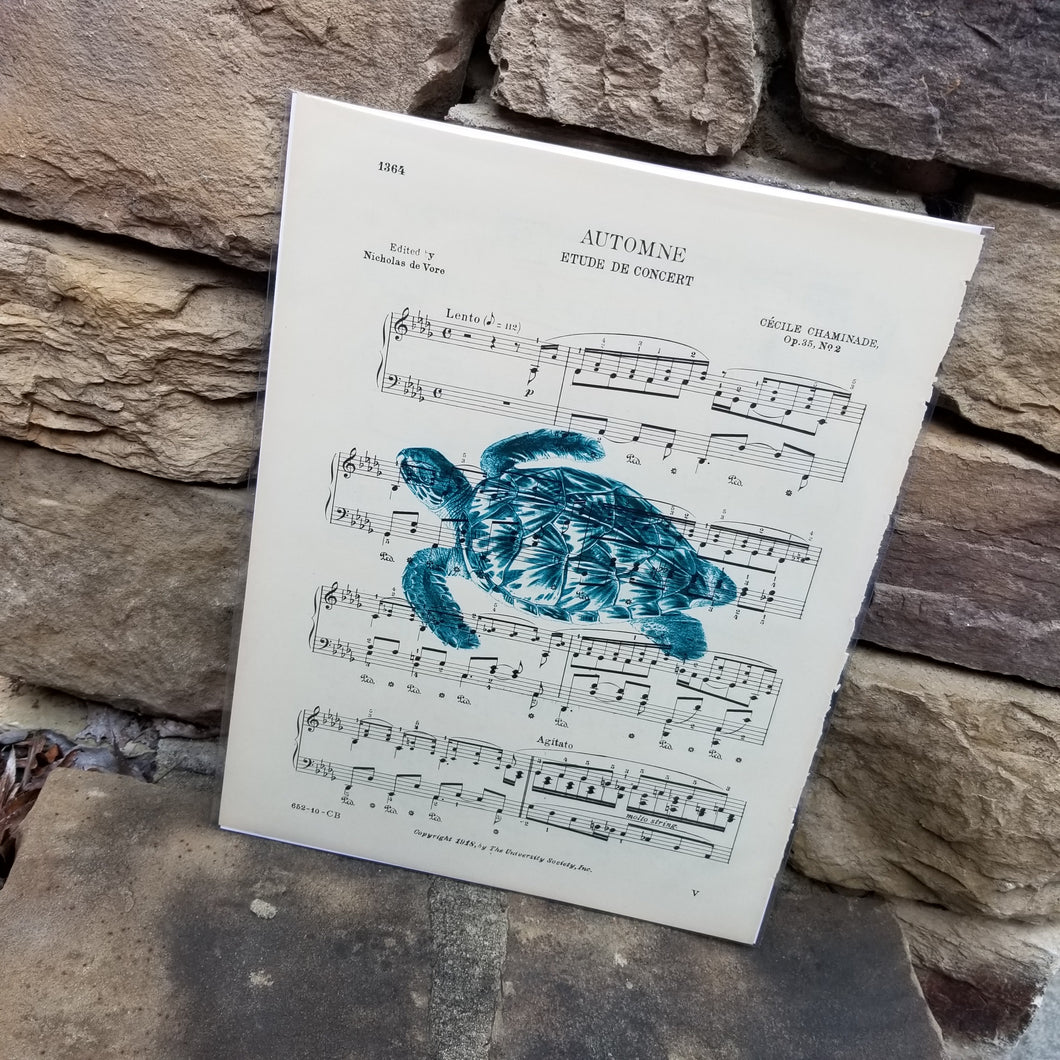 Music Art - Sea Turtle