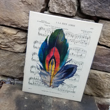 Music Art - Colorful Feather