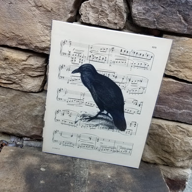 Music Art - Raven