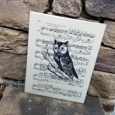 Music Art - Owl