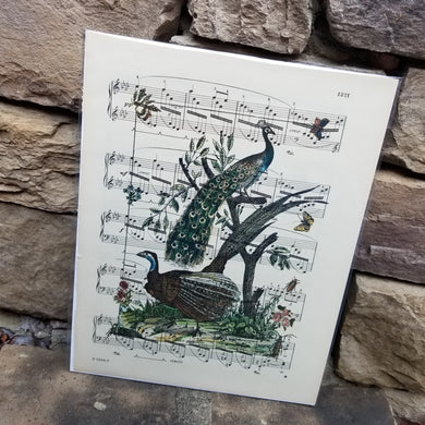 Music Art - Peacocks