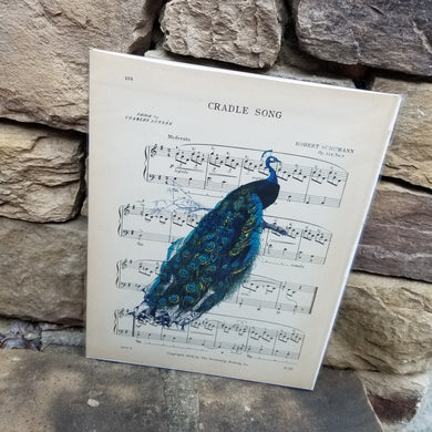 Music Art - Peacock