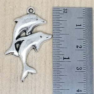 Dolphins Charm